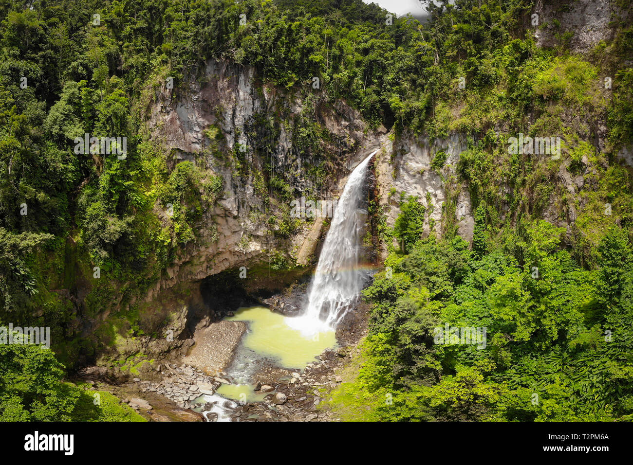 Trafalgar Falls, Morne Trois Pitons Nationalpark, Dominica Stockfoto
