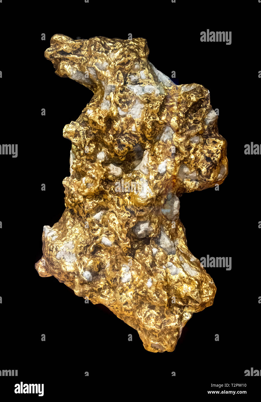 Die weltweit größte Gold Nugget. Replik der Willkommen Fremder, ein Goldnugget mit einem Gewicht von 2.284 oz (siehe Hinweis unten), in Moliagul, Victoria, Australien im Februar 1869 gefunden. Die Nugget wurde unterbrochen, bevor eine visuelle Aufzeichnung gemacht wurde und die Vervielfältigung, obwohl die gleiche Größe und Gewicht, kann nicht eine genaue Darstellung der Form. Stockfoto