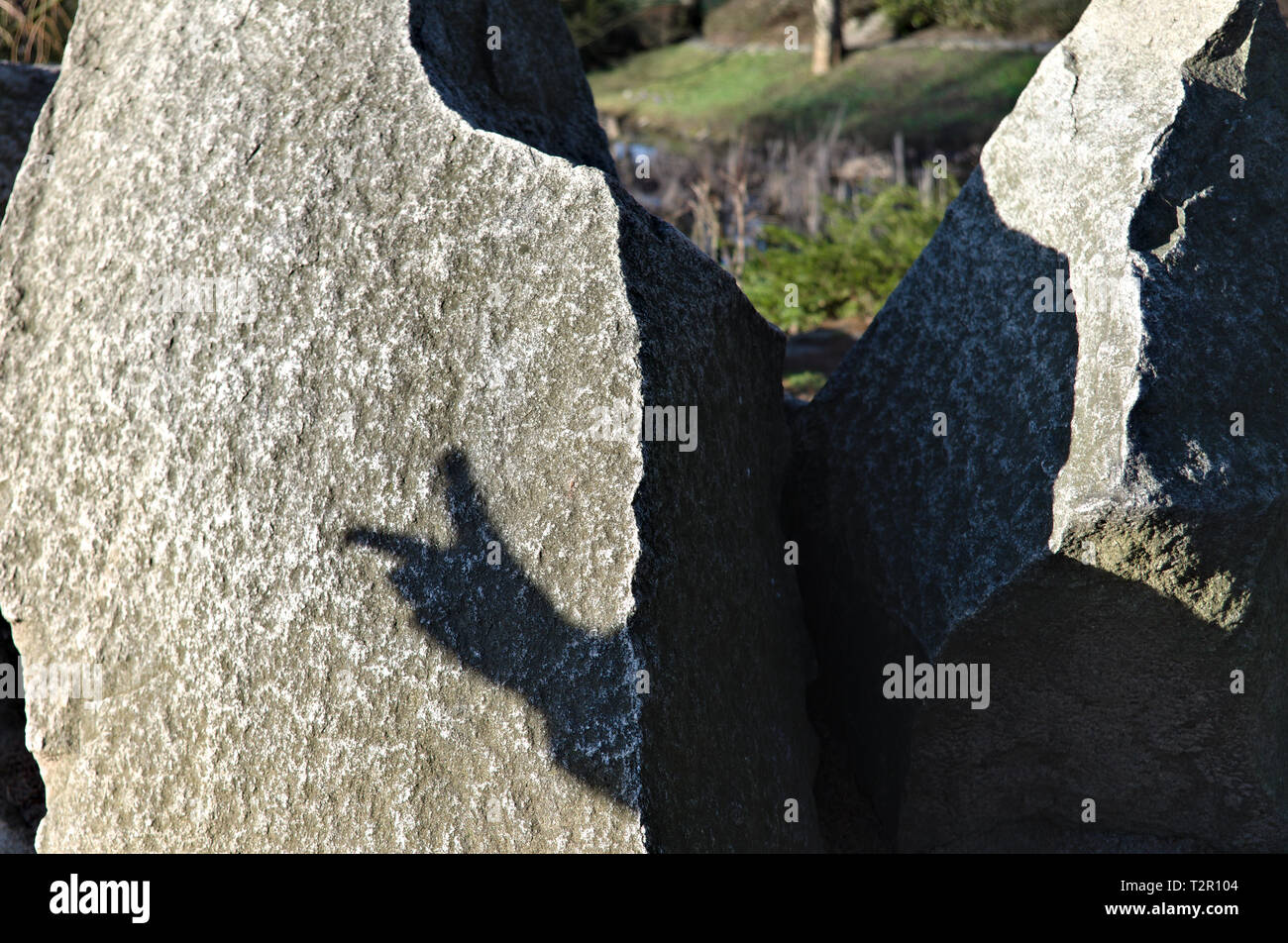 Schattenspiel auf einem Felsen Stockfoto