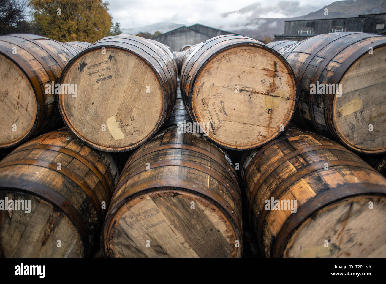 Barrel am Ben Nevis Distillery für Whisky Alterungsprozess in Fort William, Schottland gestapelt Stockfoto