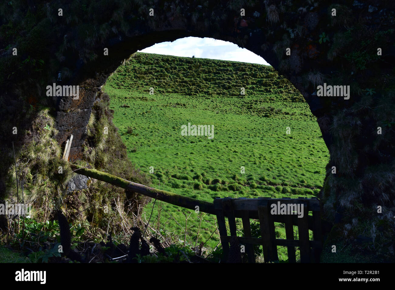 Wunderschöne Aussicht auf ein Feld durch ein aquädukt Torbogen sichtbar. Stockfoto