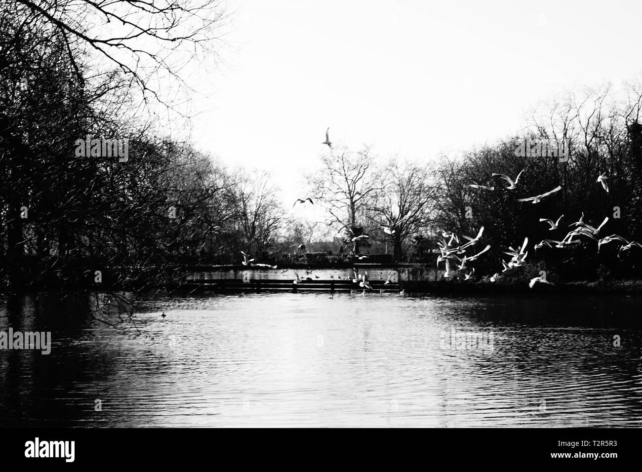 London, England. Finsbury Park. Stockfoto