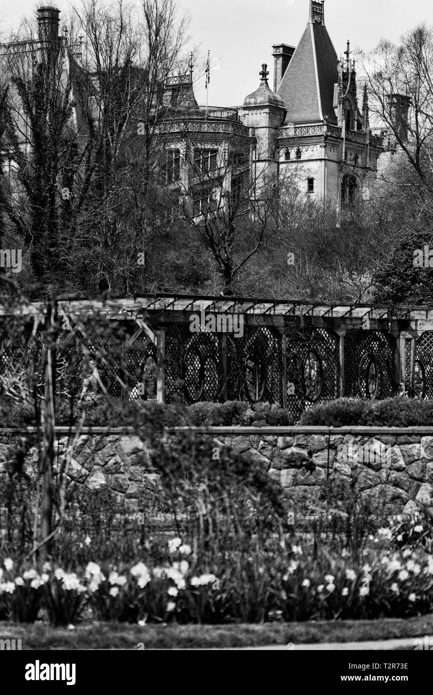 Ein Blick von der ummauerten Garten zeigt blühenden Narzissen, die Laube, und das Biltmore House droht in den Hintergrund Stockfoto