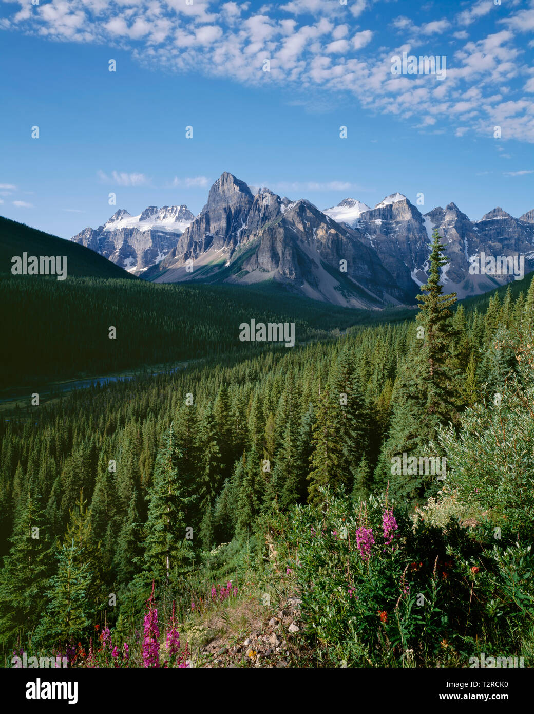 Kanada, Alberta, Banff National Park, Ansicht von Moraine Lake Road in Richtung (von links nach rechts) Quadra Bident Berg, Berg, Mt. Fay, Mt. Babel. Stockfoto