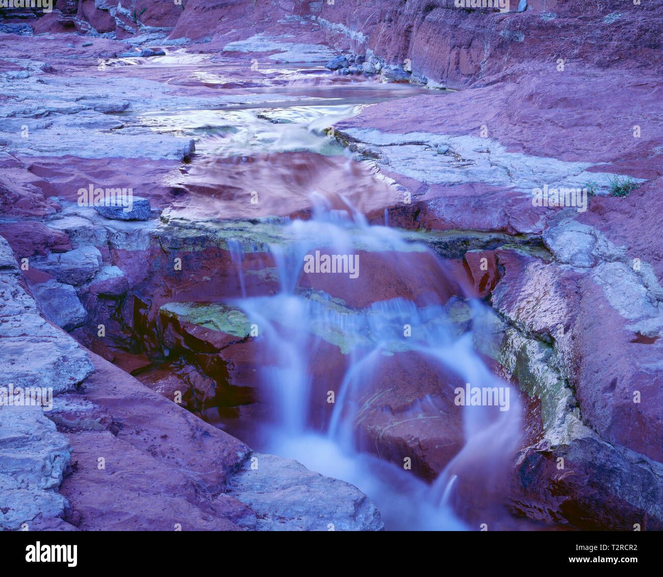 Kanada, Alberta, Waterton Lakes National Park, rötlich Argillite, ein Sedimentgestein, bringt Farbe, die in der Red Rock Canyon Bachbett. Stockfoto