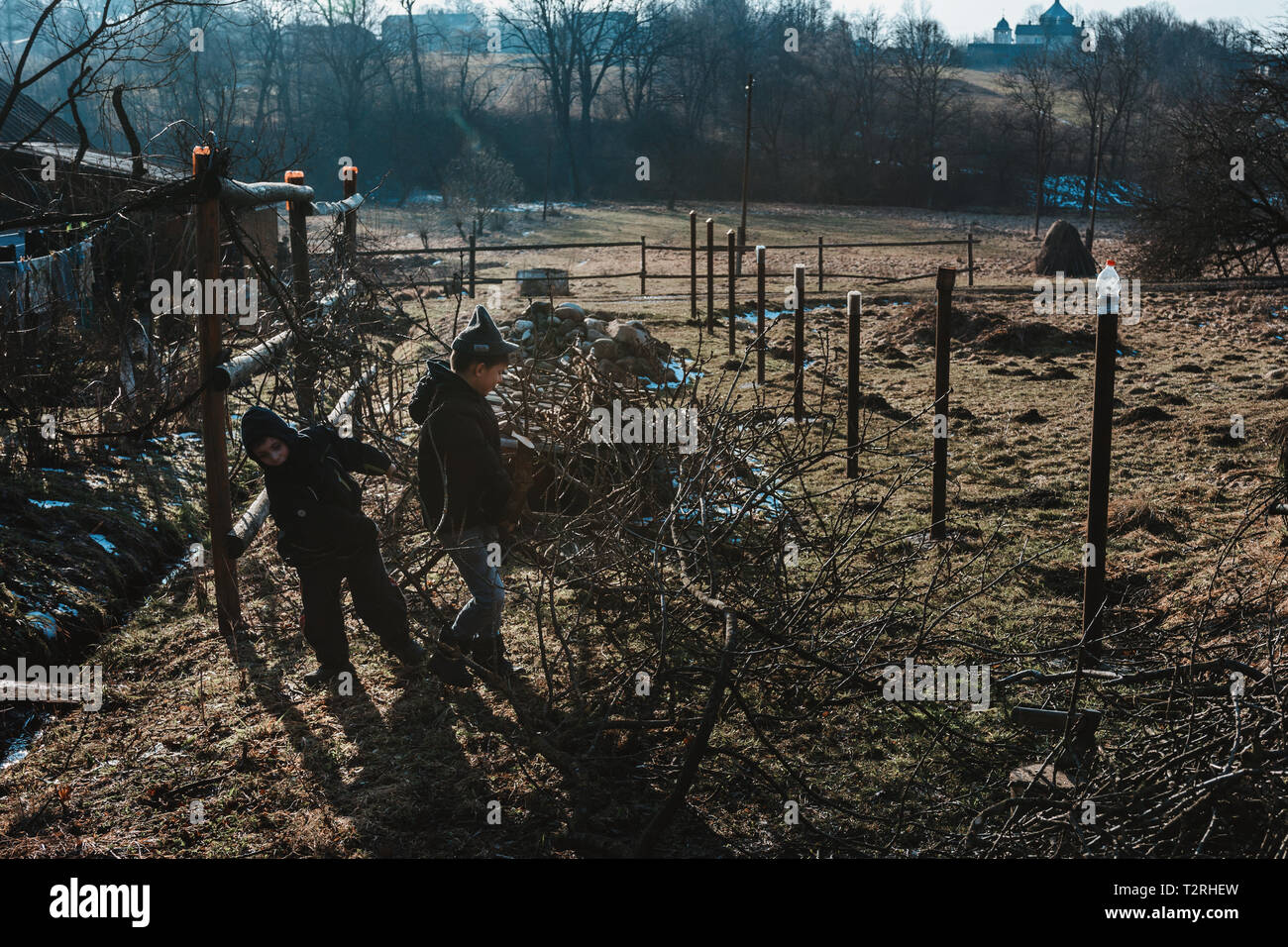 Kinder helfen zu ernten, Brennholz für den Winter, Abschirmung Zweige vom Baum 2019 Stockfoto