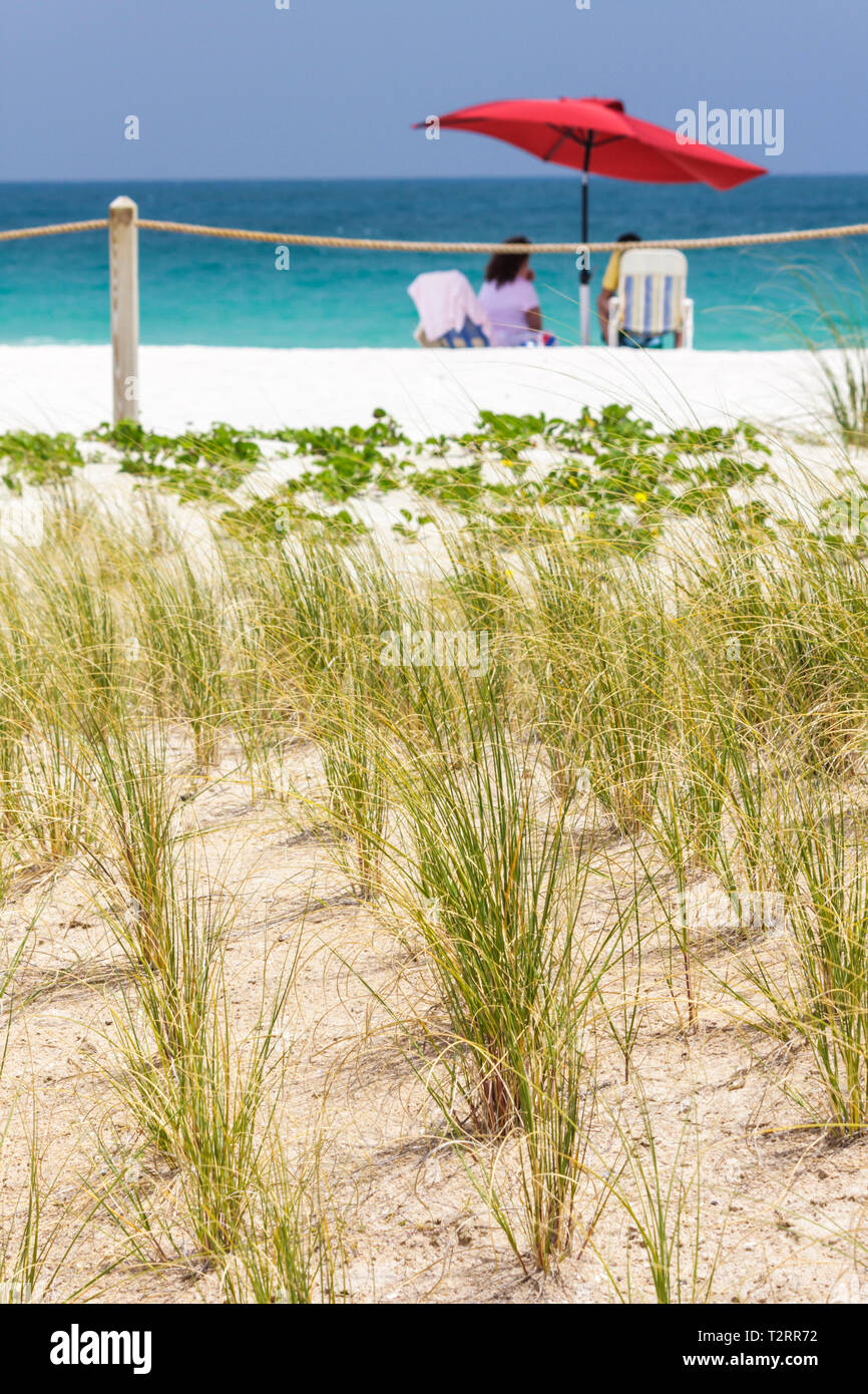 Miami Beach Florida, Atlantik, Wasser, Dünen, Gras, abgezogen, Sonnenschirm, rot, Stuhl, öffentlicher Strand, FL090412053 Stockfoto
