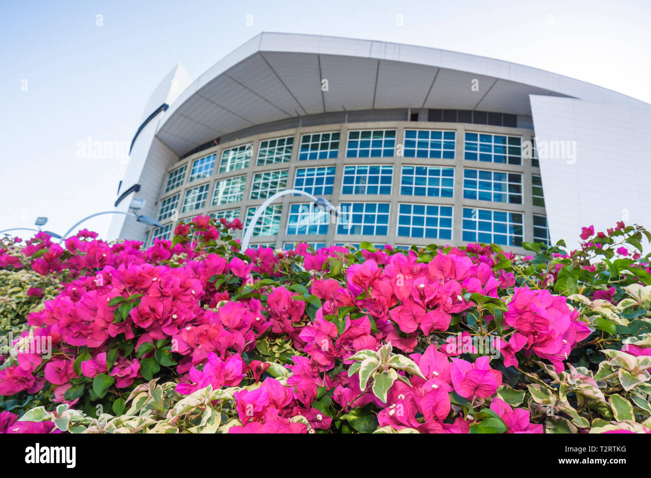 Miami Florida, Biscayne Boulevard, American Airlines Arena, Sportsport, Konzert, Veranstaltungsort, Basketball, Miami Dade, Miami Heat, Arquitectonica, Stadion, Bougai Stockfoto