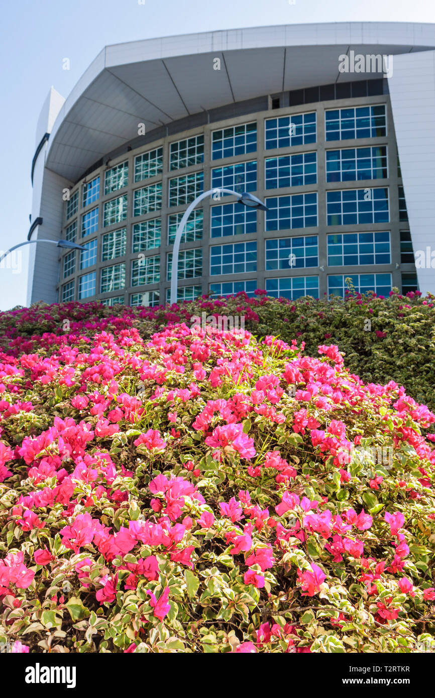 Miami Florida, Biscayne Boulevard, American Airlines Arena, Sportsport, Konzert, Veranstaltungsort, Basketball, Miami Dade, Miami Heat, Arquitectonica, Stadion, Bougai Stockfoto