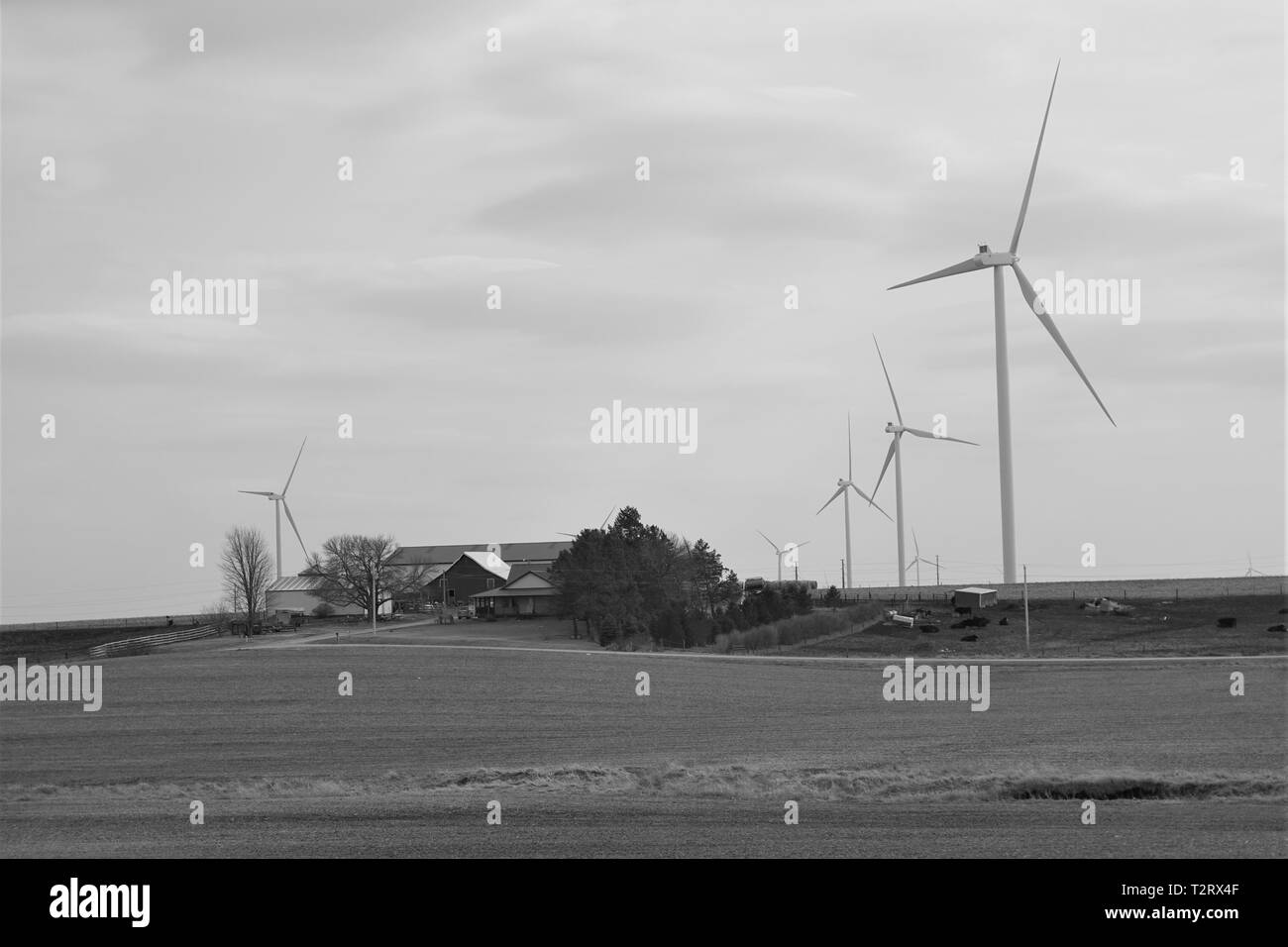 Farmen und Windkraftanlagen dot die Iowa Landschaft Stockfoto