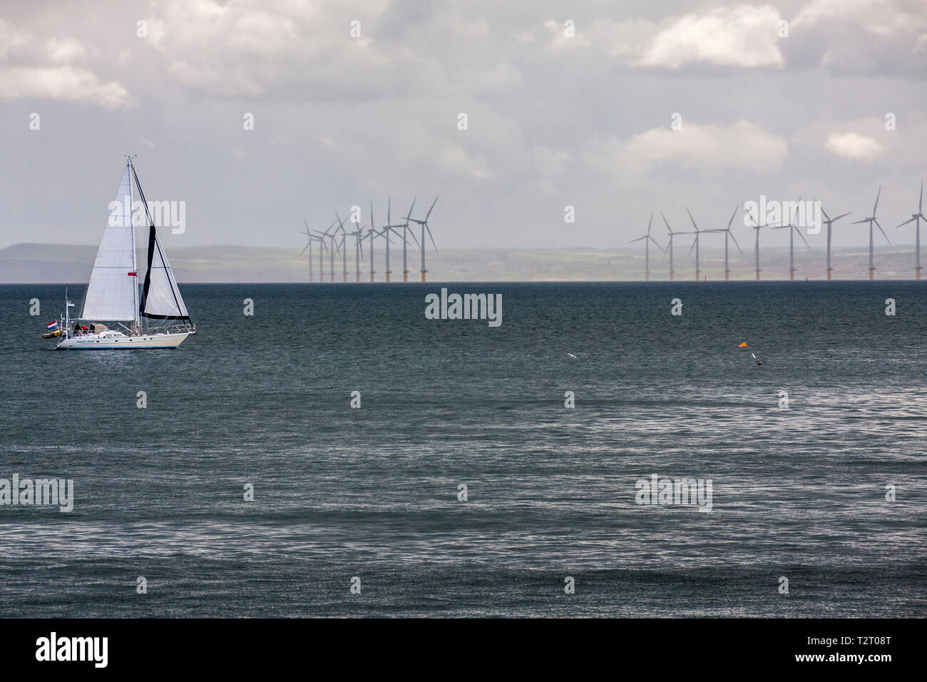 Ein Segelboot überschrift in den Hafen von Hartlepool Landspitze im Nordosten Englands mit Offshore- Windenergieanlagen im Hintergrund Stockfoto