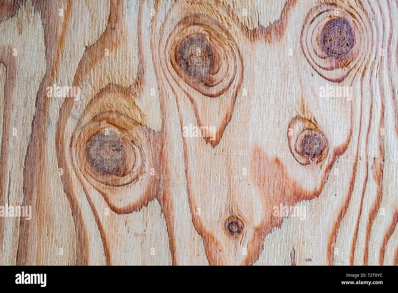 Holz Textur Hintergrund, natürlichen Baum Stockfoto