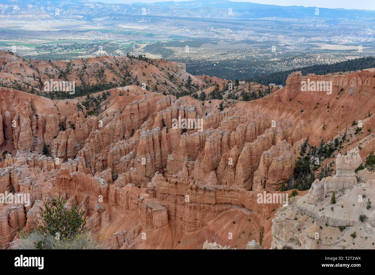 Bryce Canyon Stockfoto