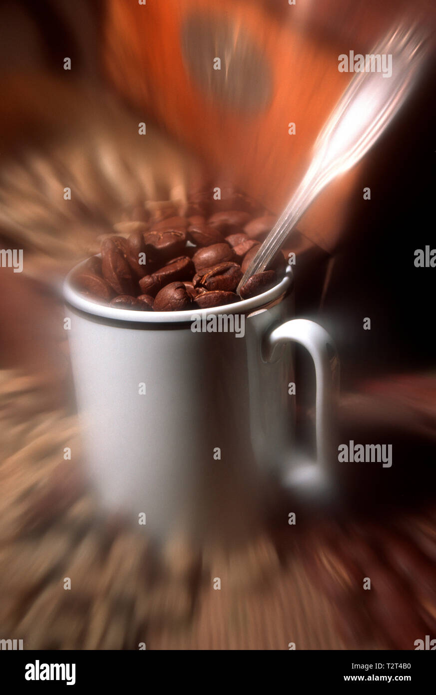 Kaffeebohnen in eine weiße Kaffeetasse Stockfoto