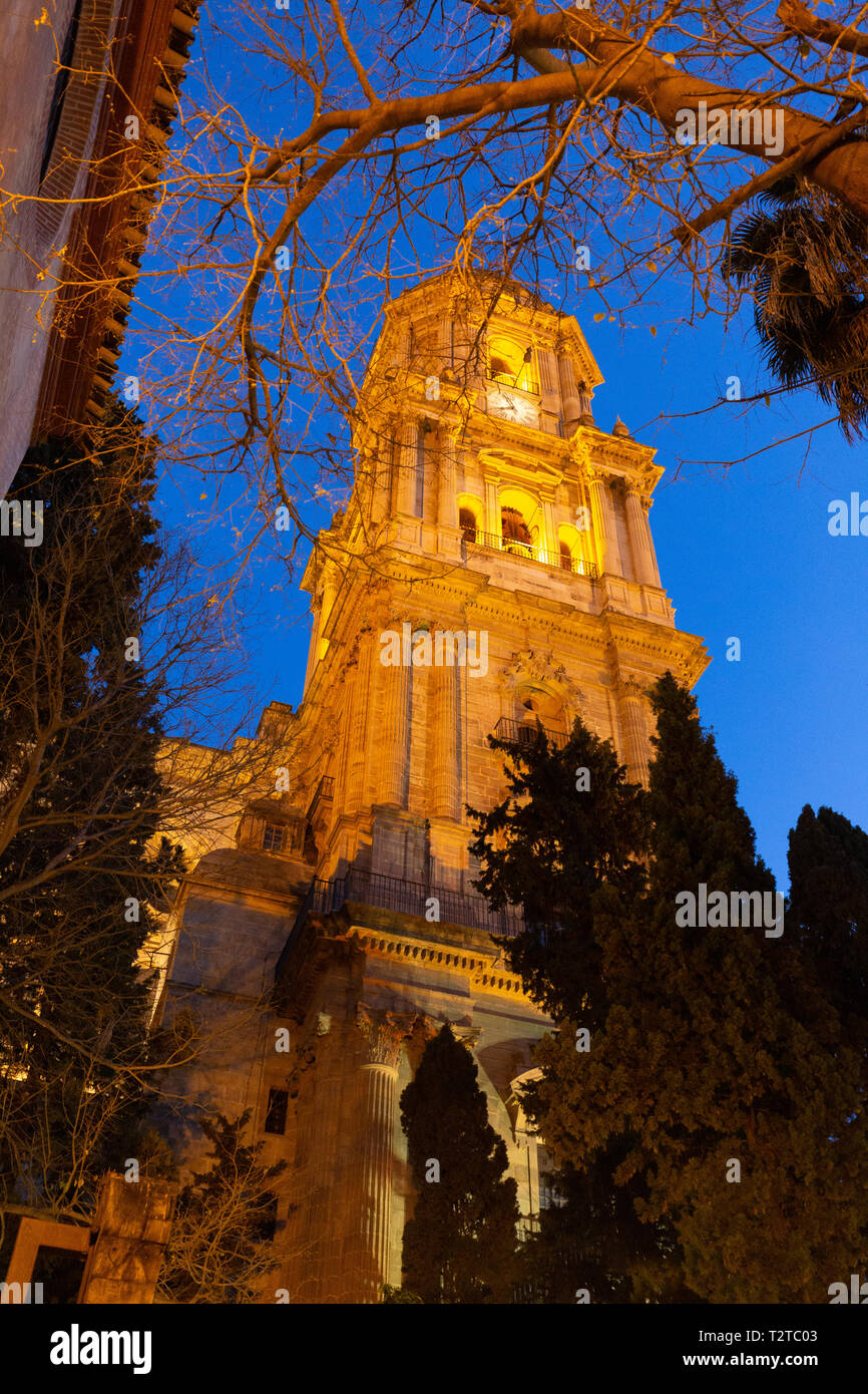 Die Kathedrale von Malaga belltower nachts beleuchtet, Malaga Andalusien Spanien Stockfoto