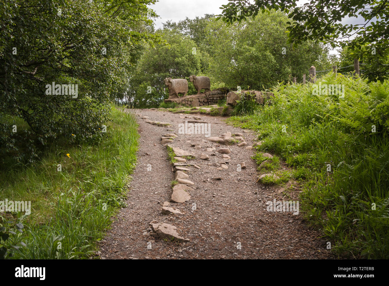 Ein Weg, der bis zu den beiden steinernen Schafen Statuen an Low Force, Teesdale, England, Großbritannien Stockfoto