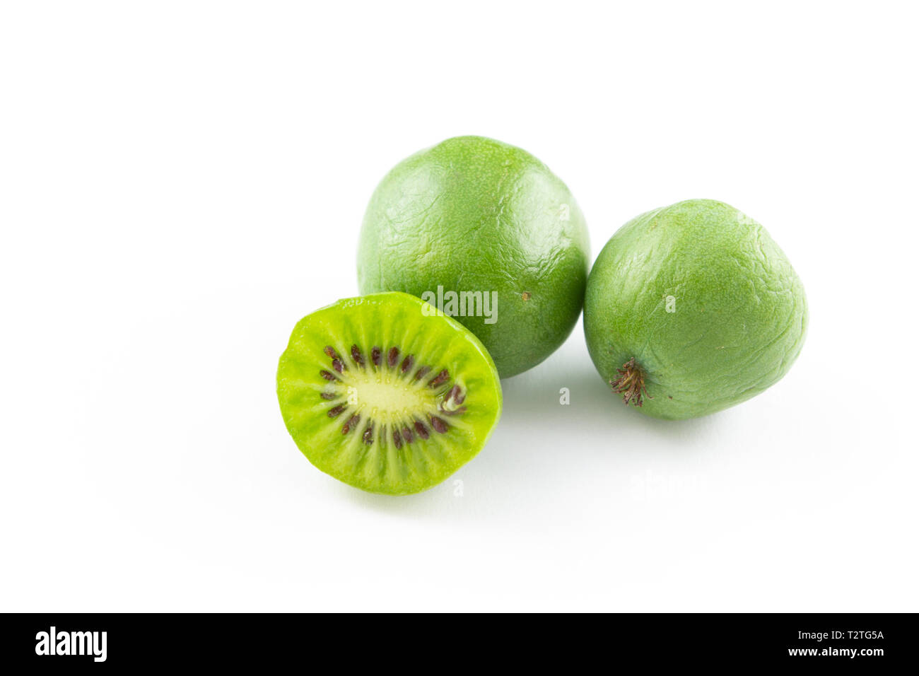 Zusammensetzung von frischem hardy Kiwis auf weiß Kopie Raum isoliert Stockfoto