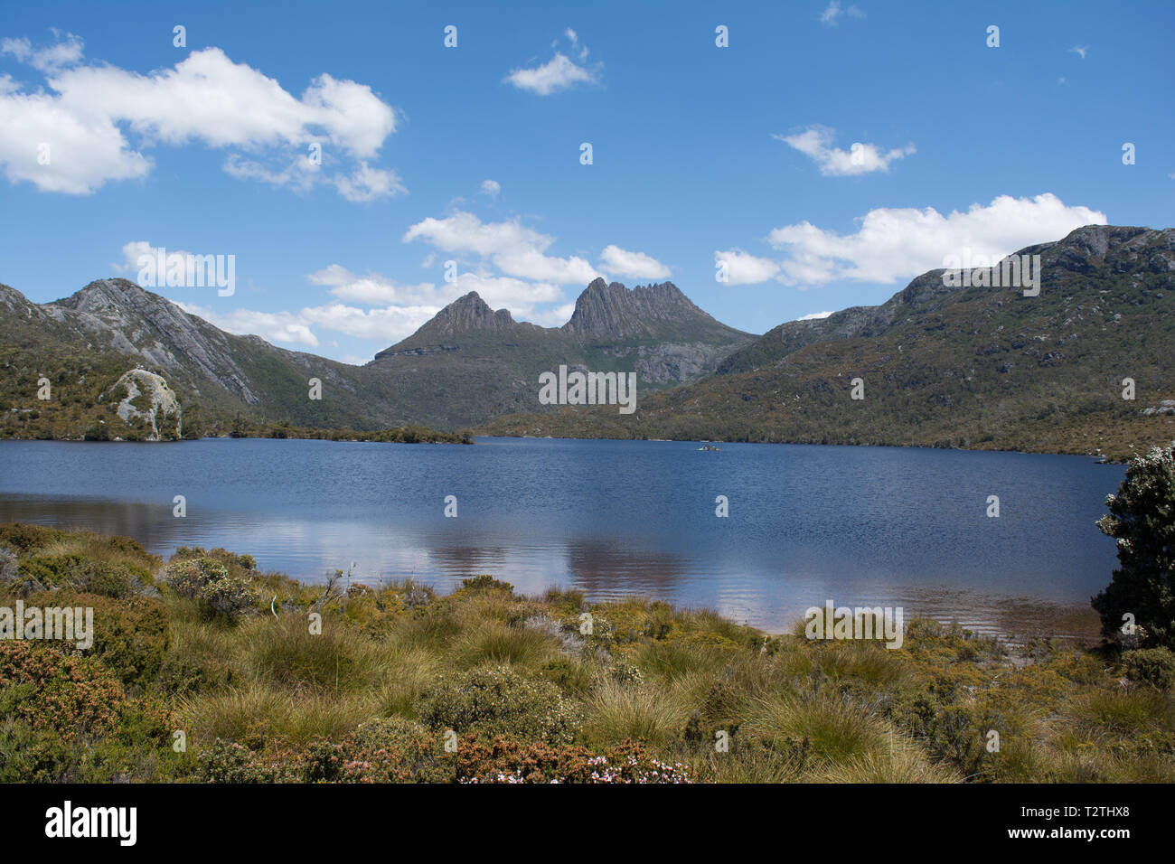 Landschaft Foto des atemberaubenden Cradle Mountain und Dove Lake aus am Nachmittag. Stockfoto