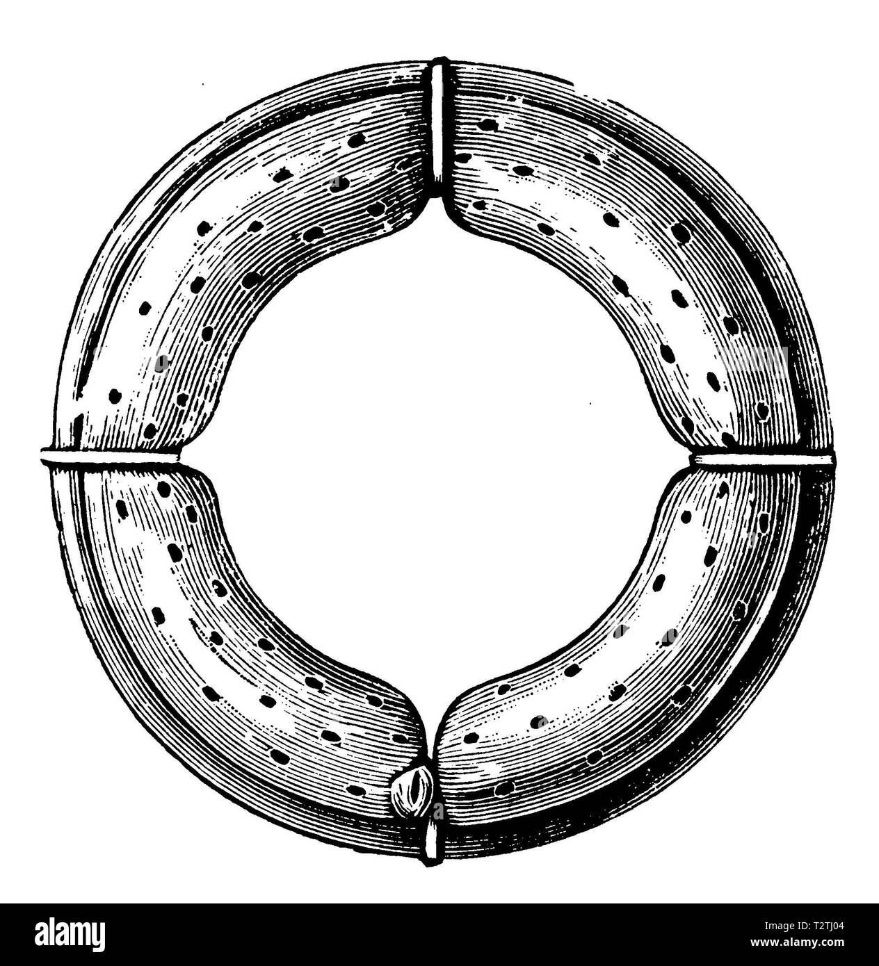 Empfängnisverhütende Ring nach Dr. med. Höhle, 1905 Stockfoto