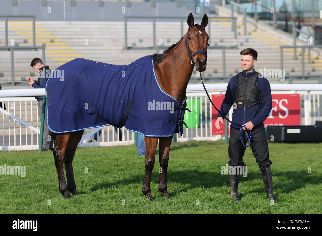 Aintree, Liverpool. 4. April 2019. UK Wetter. Aintree öffnung Tag. Irische Pferd Straße zu den riches Aufwärmen für die Hürde späteren Rennen am Nachmittag. Kredit. MWI/AlamyLiveNews Stockfoto