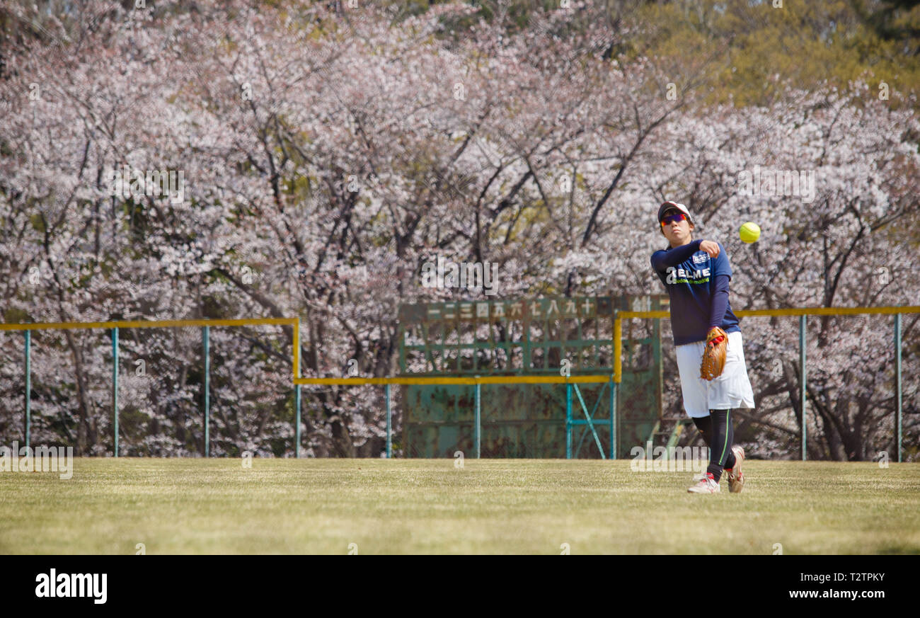 Tokai, Aichi, Japan. 4 Apr, 2019. Ein amateur Softball Spieler gesehen Üben vor der Kirschblüte im Park in Japan. Die Kirschblüte auch bekannt als Sakura in Japan normalerweise Peaks im März oder Anfang April im Frühjahr. Credit: Takahiro Yoshida/SOPA Images/ZUMA Draht/Alamy leben Nachrichten Stockfoto