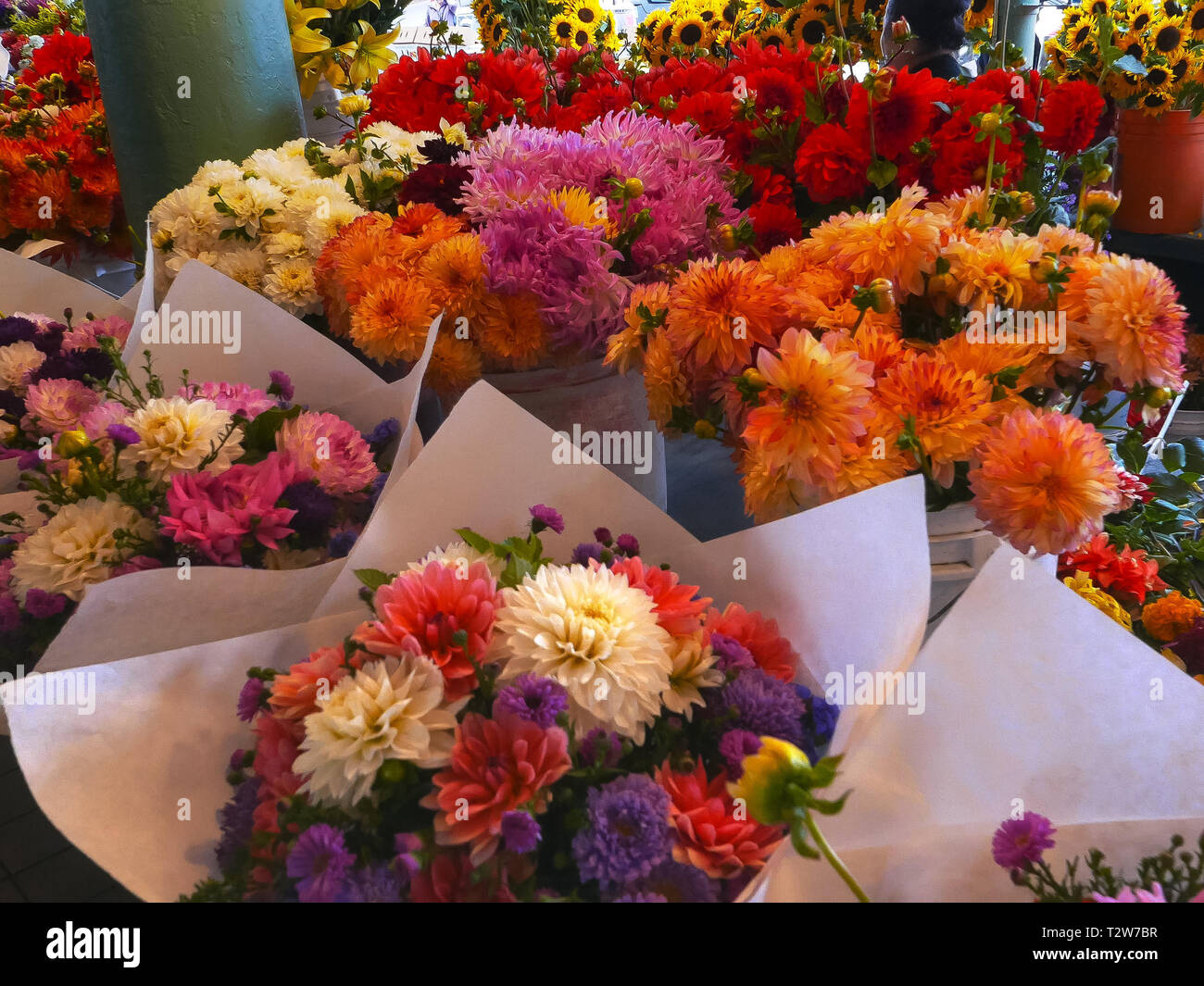 Sie Nahaufnahmen von Blumen am Pike Place Market in Seattle, Washington Stockfoto