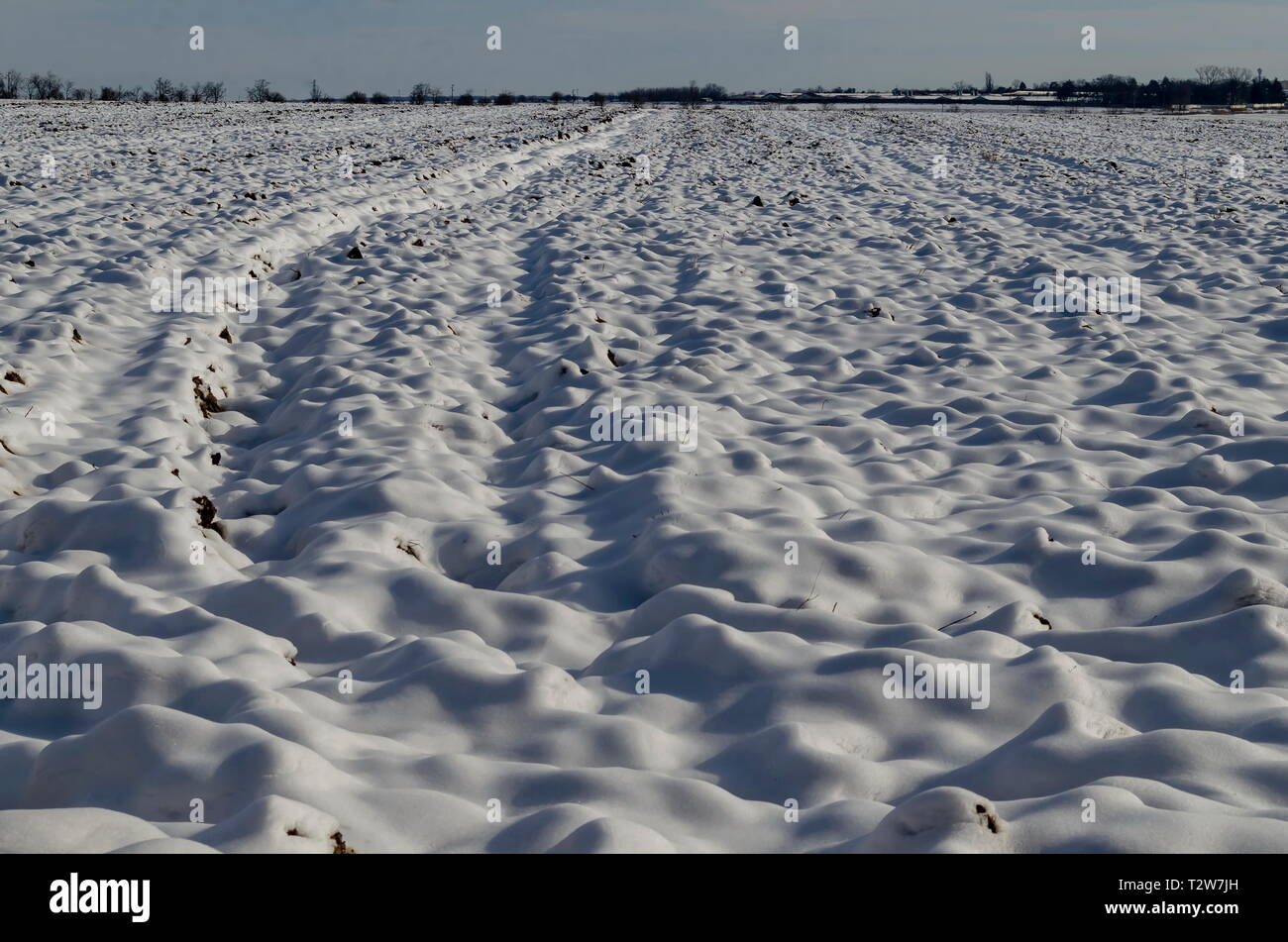Eine neue Landschaft von offenen Feld vorbereitet für die Aussaat von Schnee im Winter in der Nähe von Zavet Stadt, Bulgarien, Europa Stockfoto