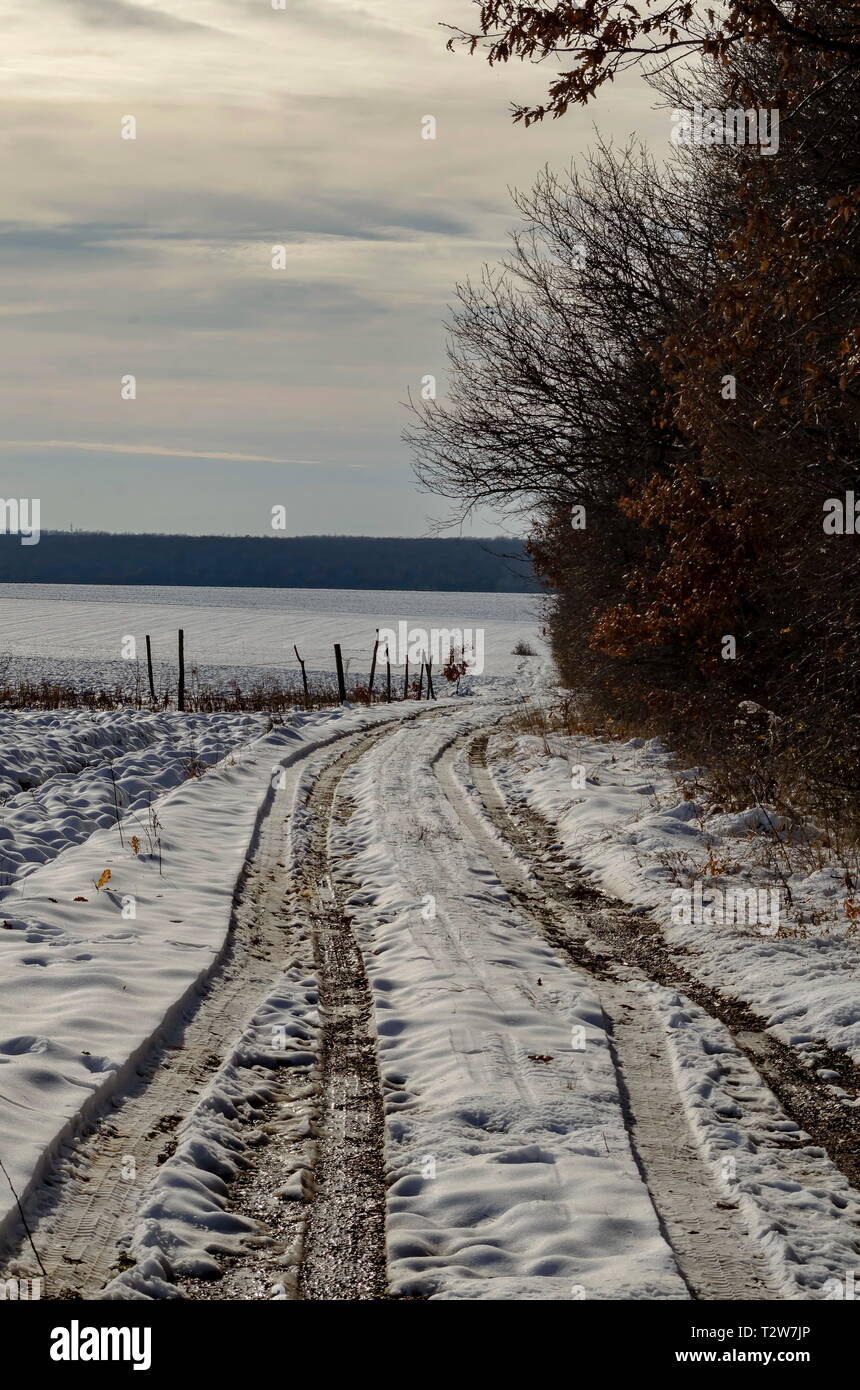 Winterlandschaft mit Piste zwischen offenen Feld und Laubwald in der Nähe von Zavet, Bulgarien, Europa Stockfoto