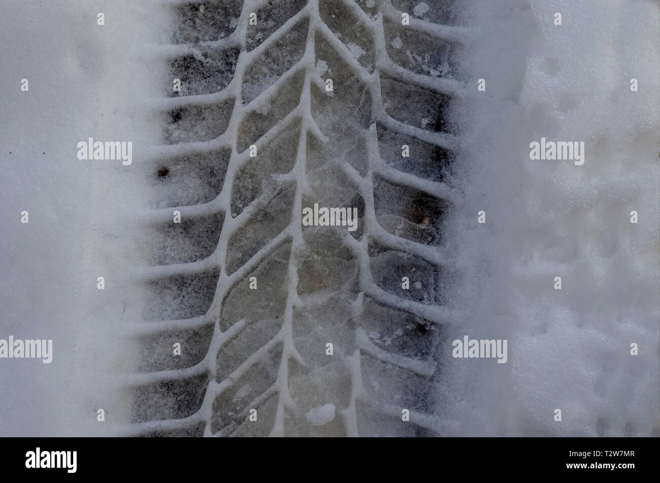 Natürliche Hintergrund der Spurweite auf verschneiten Feld im Winter in der Nähe von Zavet, Bulgarien, Europa Stockfoto