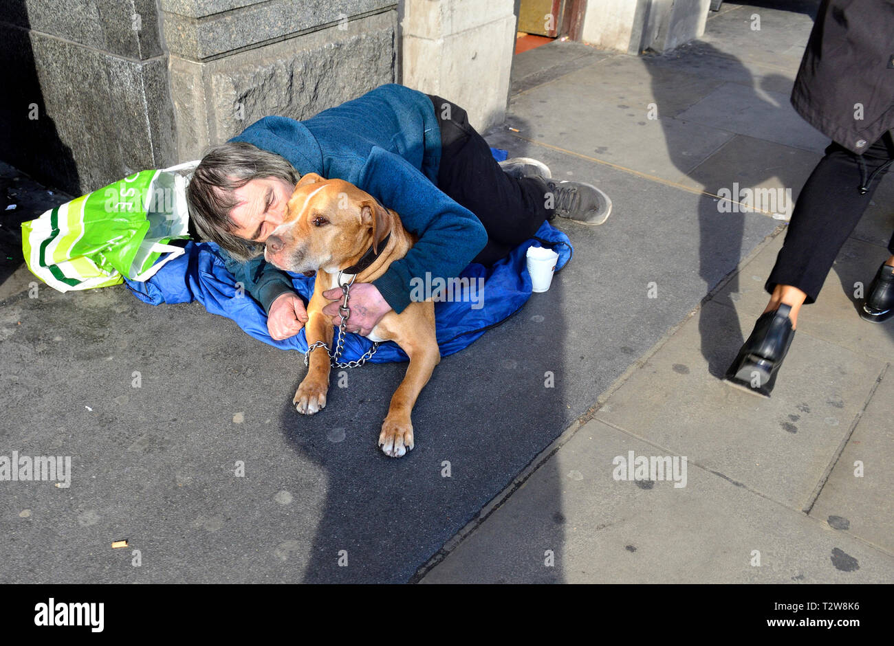 London, England, UK. Obdachlosen Mann mit seinem Hund in Parliament Square Stockfoto