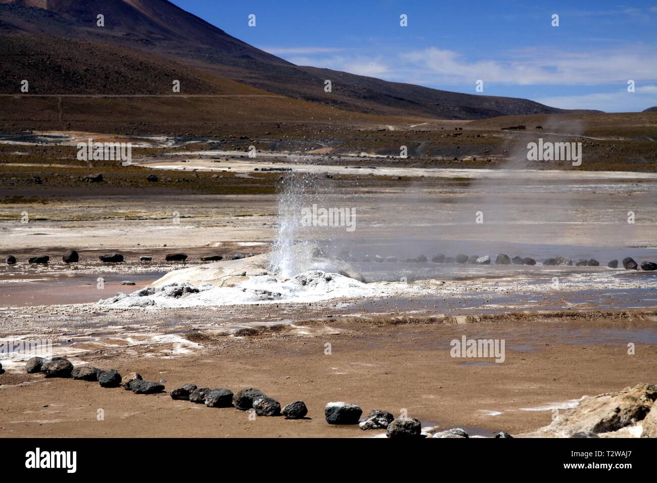 El Tatio Geysire in der Atacama-wüste, Chile: Breite geothermische Dampf Feld Stockfoto