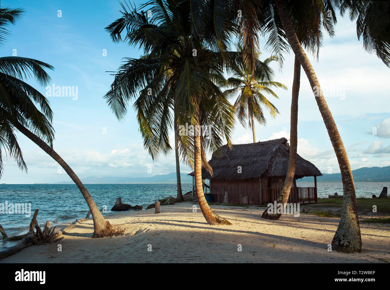 Traditionelle Strand Cabana und Biegen von Palmen im Sonnenuntergang. Icodub Kuna Yala Inselchen. San Blas Inseln, Panama. Okt 2018 Stockfoto