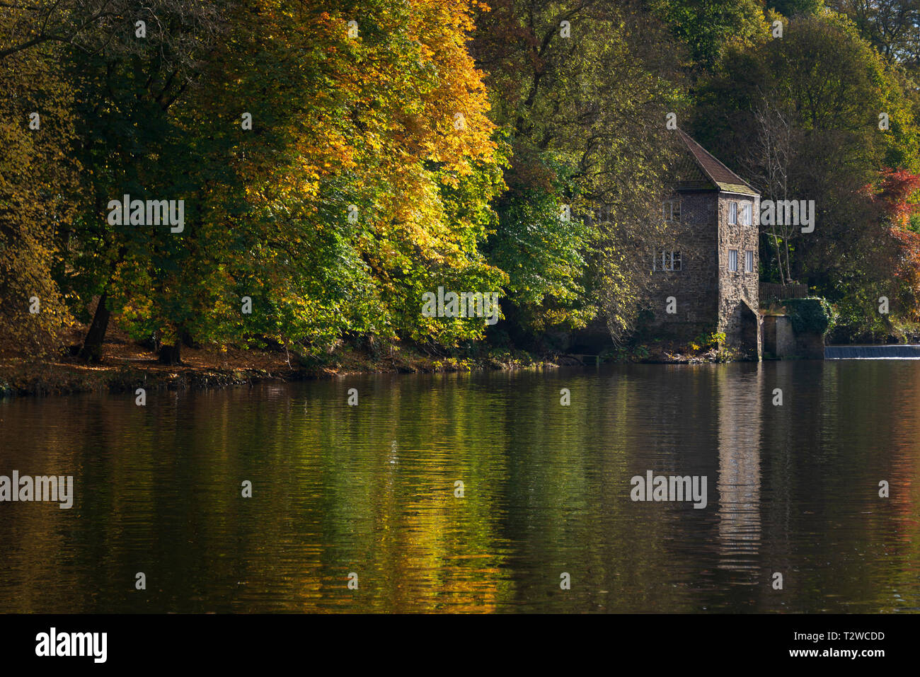 Alte Walkmühle unter den Herbst Bäume am Ufer des Flusses tragen die alten Gebäude aus Stein wurde früher als ein Museum von der Durham University verwendet Stockfoto