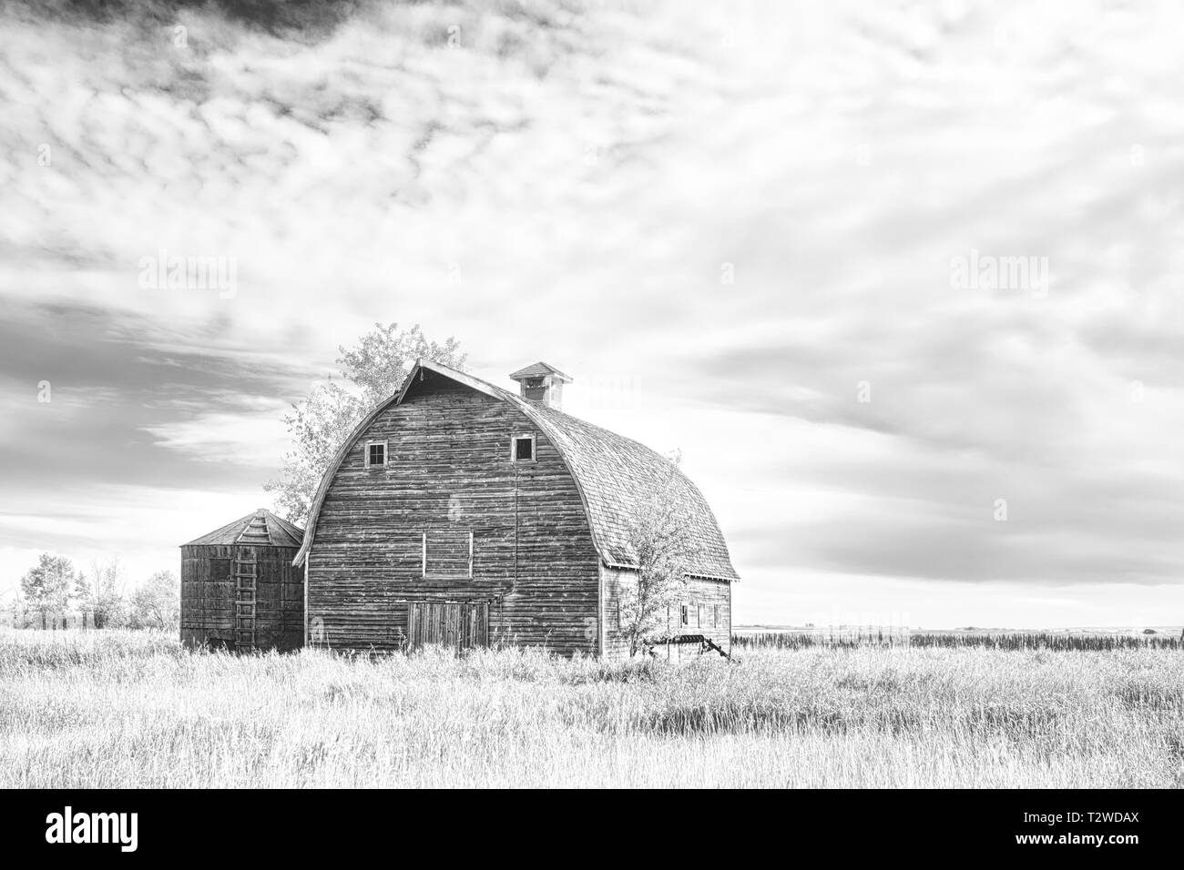Ein vintage Holz- Scheune mit gewölbten Dach in guter Form in einem ländlichen Landwirtschaft schwarze und weiße Landschaft Stockfoto