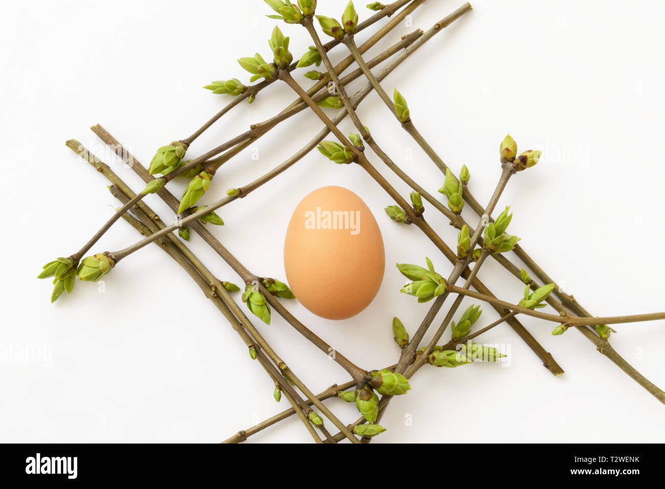 Ostern - vernal Zusammensetzung mit Eier in ein Nest von knospenden Zweigen auf weißem Hintergrund, Ansicht von oben Stockfoto