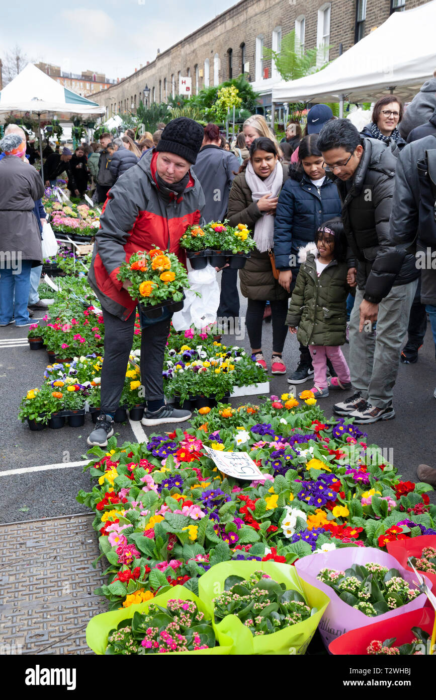 Columbia Road Blumenmarkt am Sonntagmorgen im März, Bethnal Green, Tower Hamlets, London, London, England, Vereinigtes Königreich, Europa Stockfoto