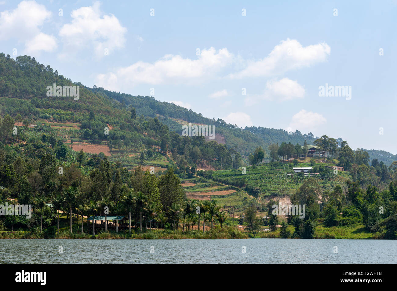 Reihenhaus Ackerland am Ufer des Lake Bunyonyi im Südwesten von Uganda, Ostafrika Stockfoto