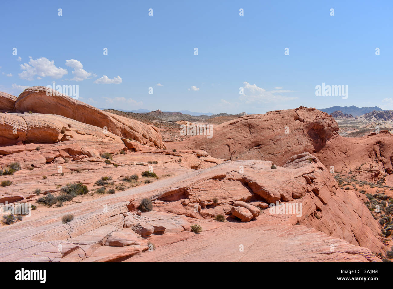 Rote Landschaft Stockfoto