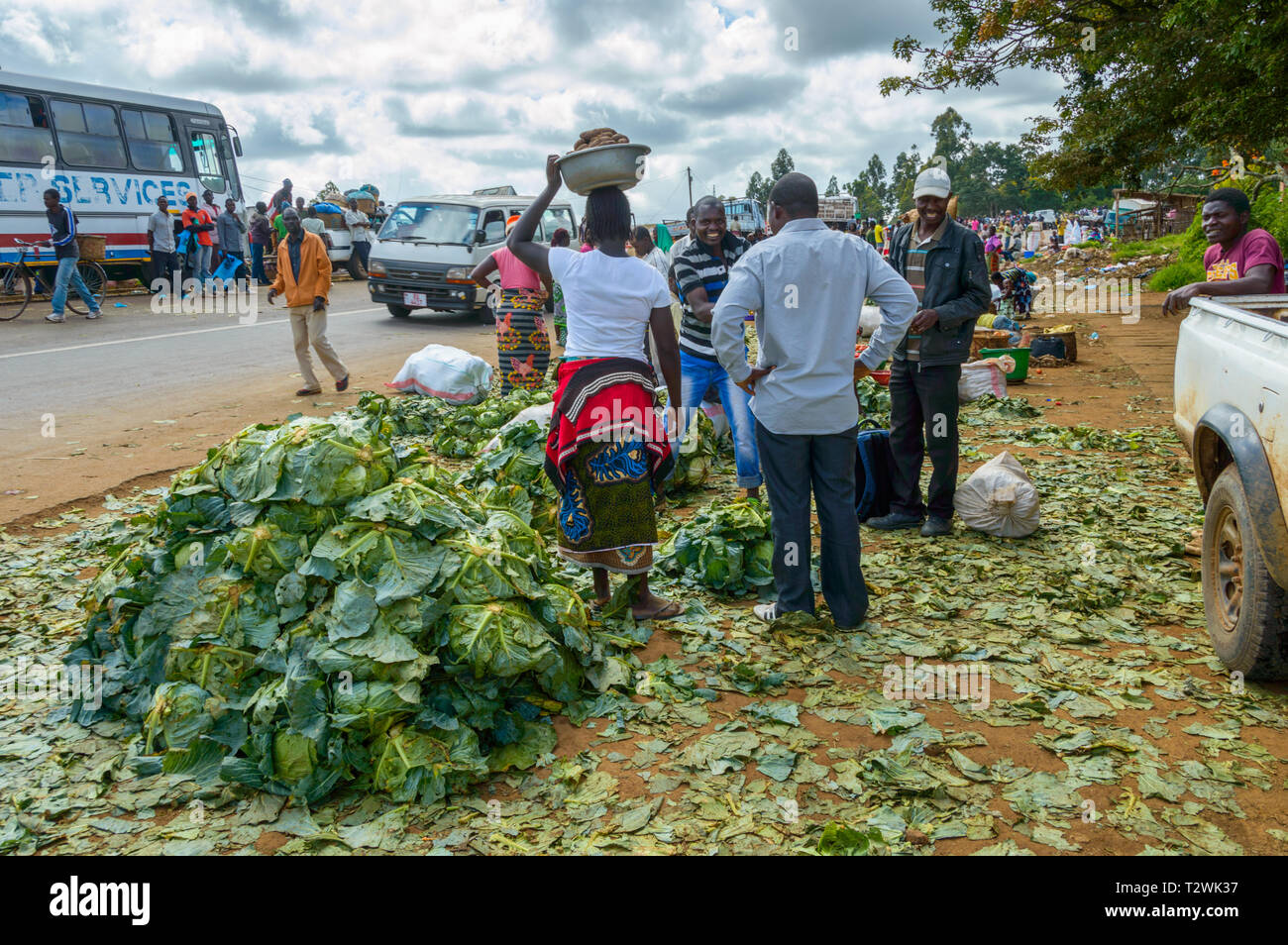 Malawian man verkaufen kohlköpfe bei Bembeke markt Malawi Stockfoto