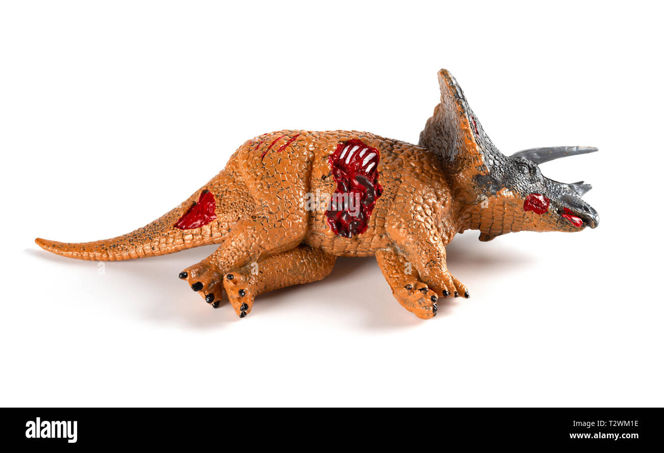 Triceratops toten Körper auf weißem Hintergrund Stockfoto