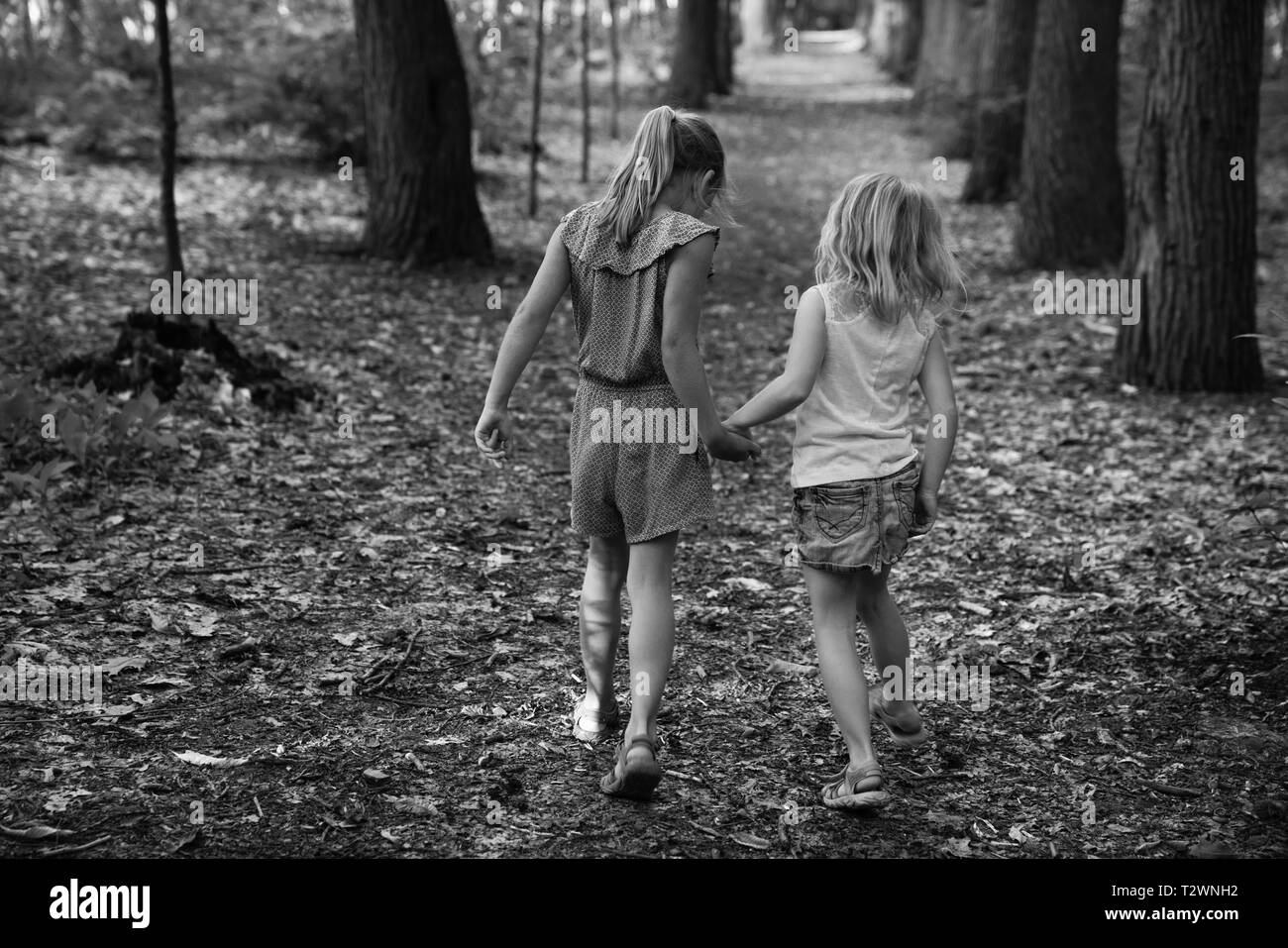 Schwestern gingen Hand in den Wald, ein schwarz-weiß Foto Stockfoto