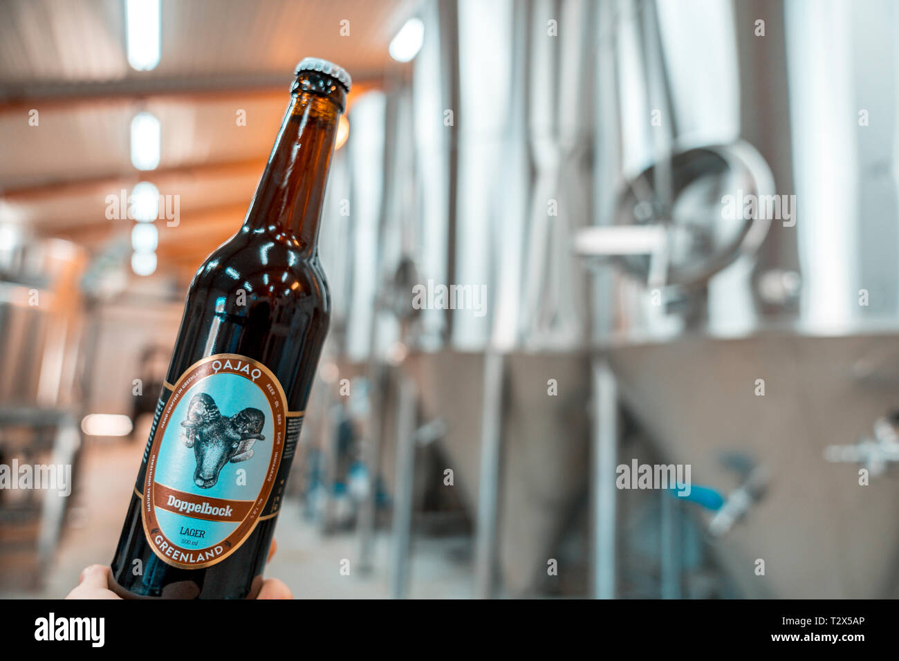 Lagerbier - Qajag Qajag Bier, Brauerei, Narsaq, Grönland Stockfoto