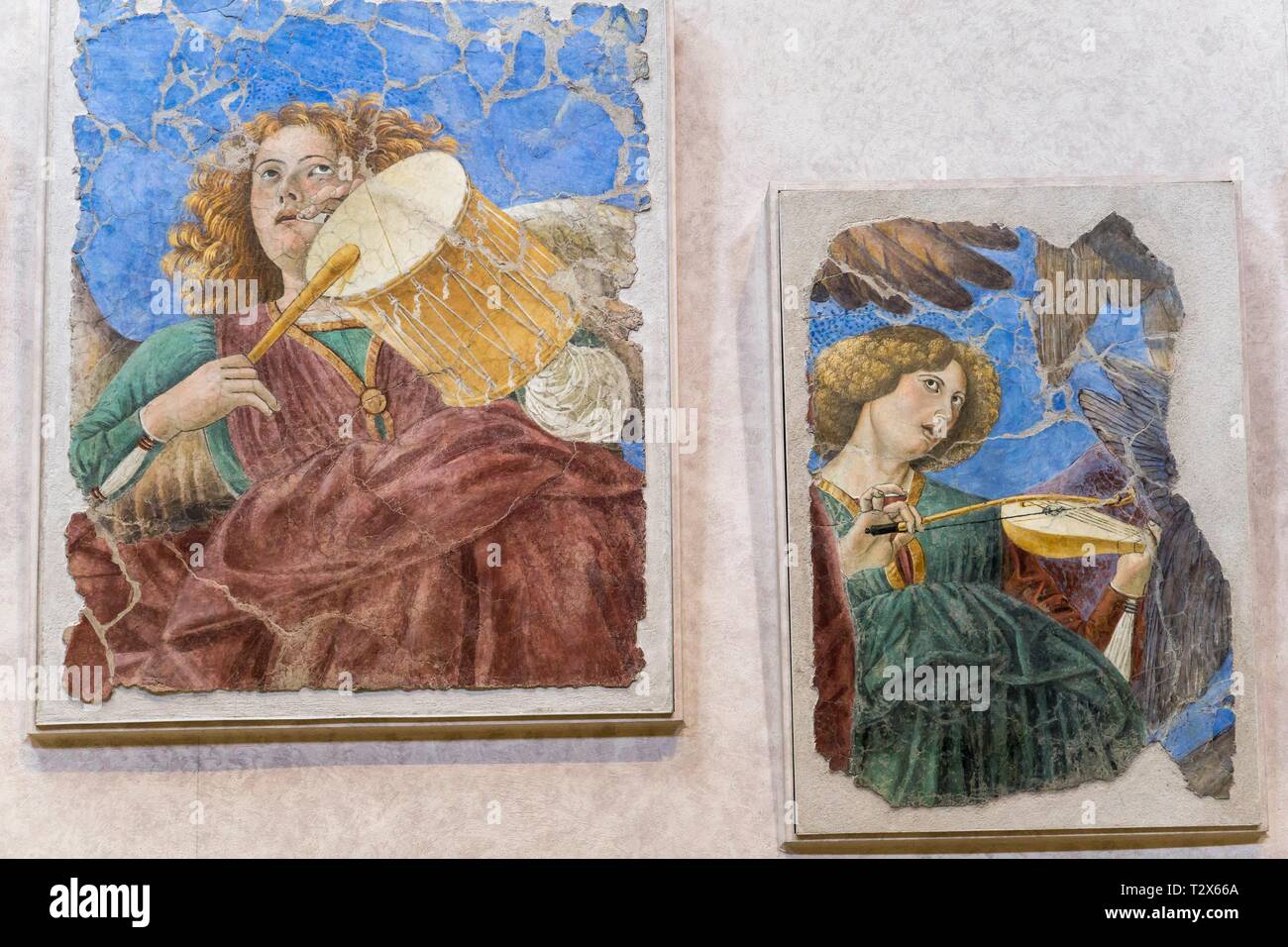 Vatikanische Pinakothek, Melozzo da Forlì(Forlì 1438-1494), ein Engel der laute 1480, Vatikanischen Museen, Vatikanstadt, Rom, Italien. Stockfoto