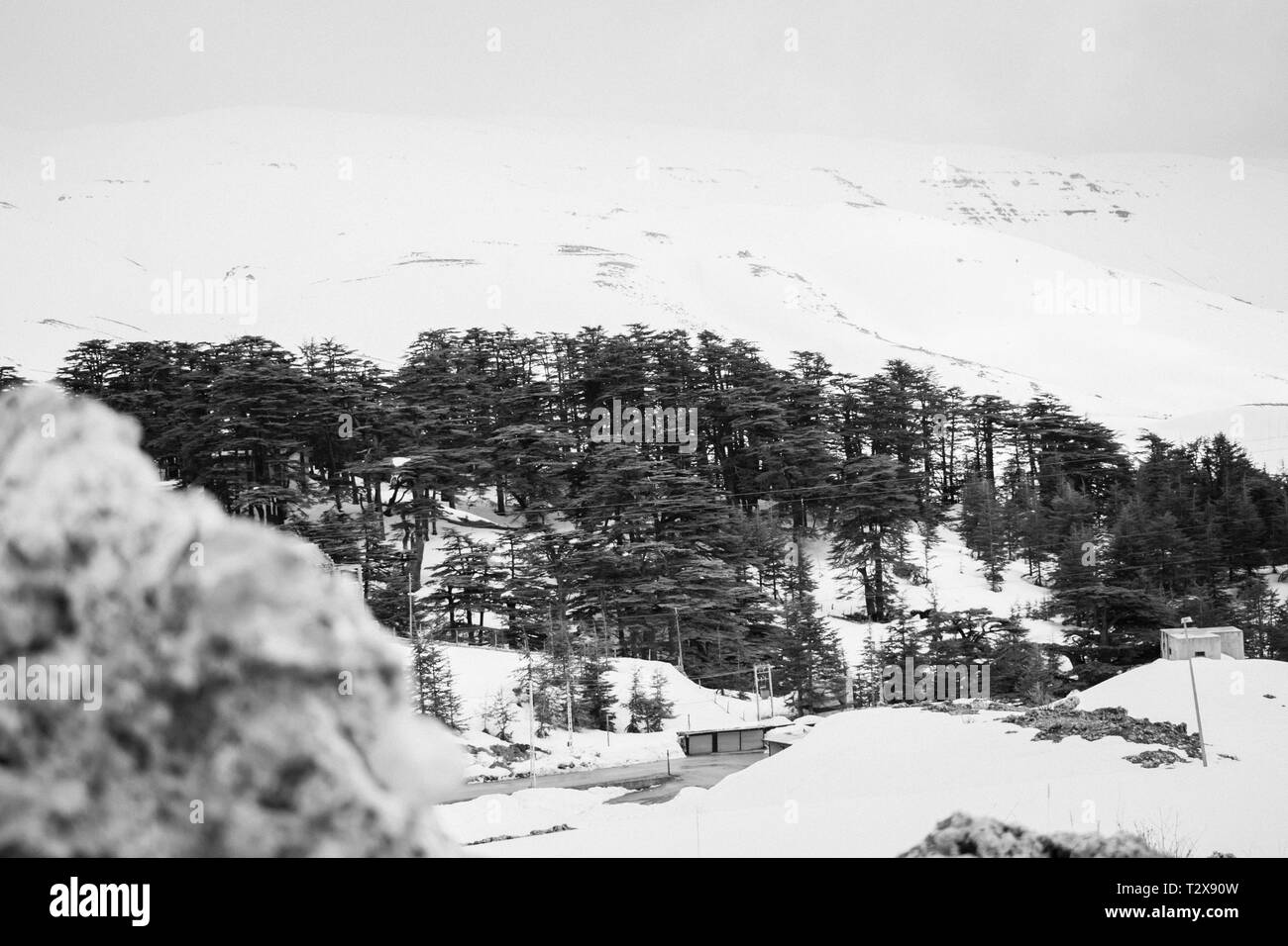 Dies ist eine Erfassung für eine Landschaft im Winter im Norden Libanons und Sie können die Schneedecke die riesigen Berge sehen Stockfoto