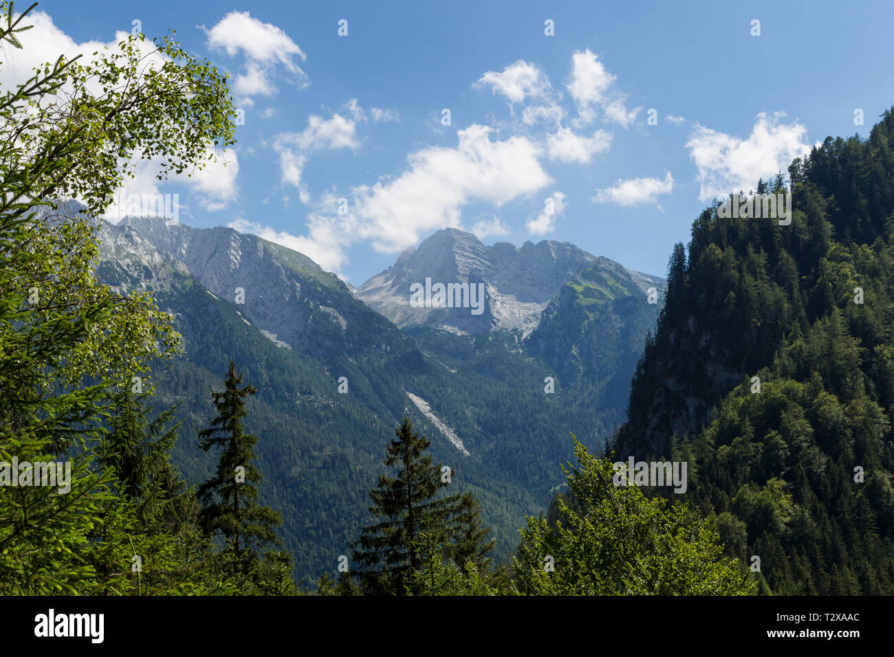 Wanderung von Bindalm zur Halsalm und zurück zum Hintersee. Stockfoto