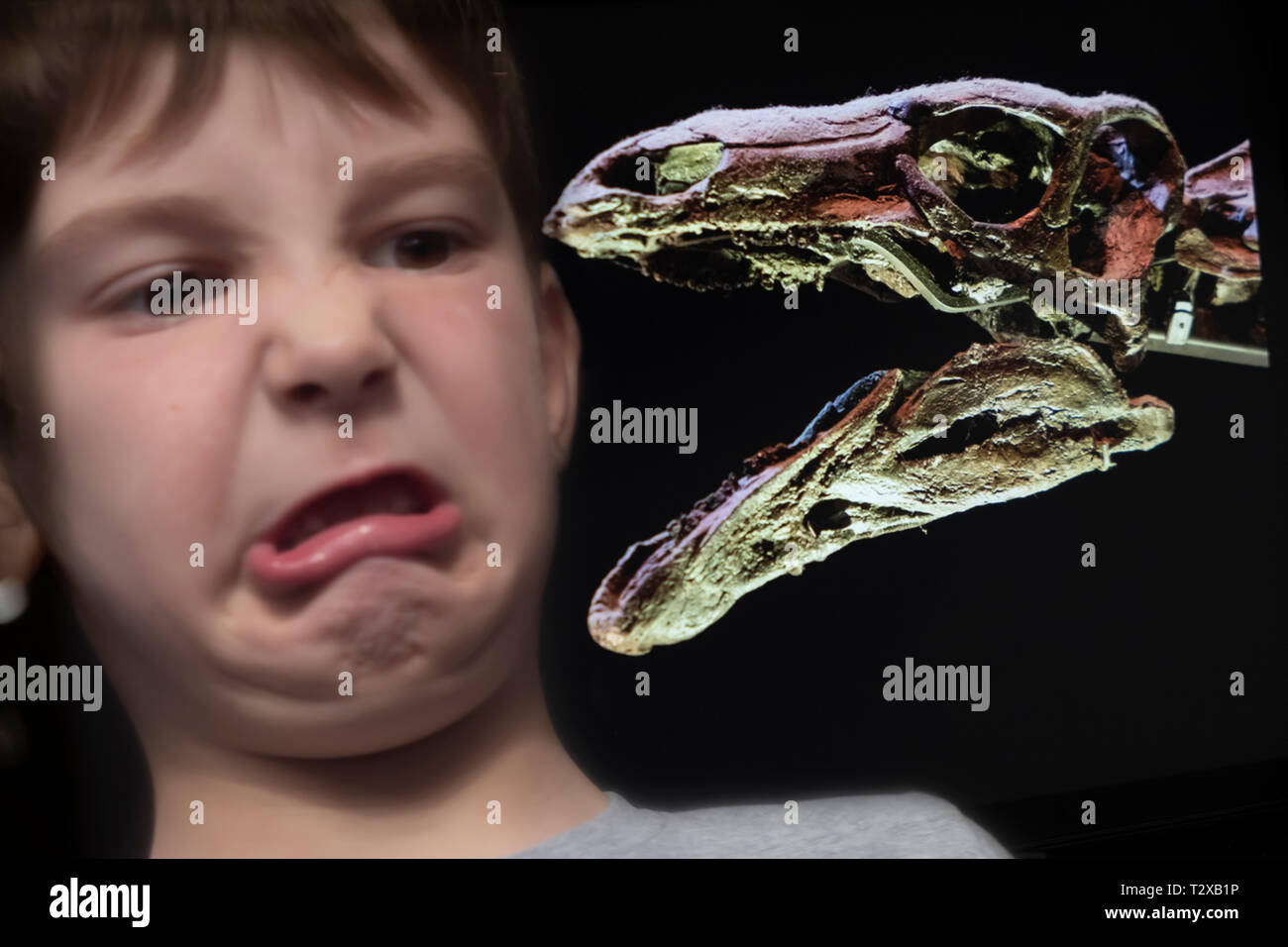 Junge ziehen lustig Gesicht an einem Dinosaurier Skelett Stockfoto