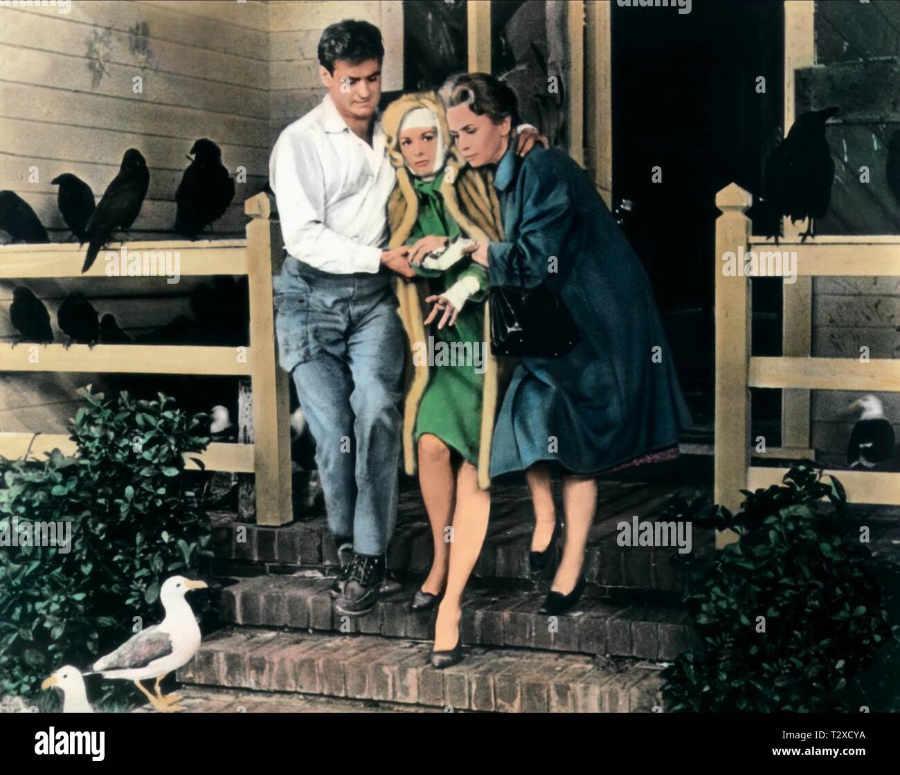 ROD TAYLOR, Tippi Hedren, Jessica Tandy, DIE VÖGEL, 1963 Stockfoto