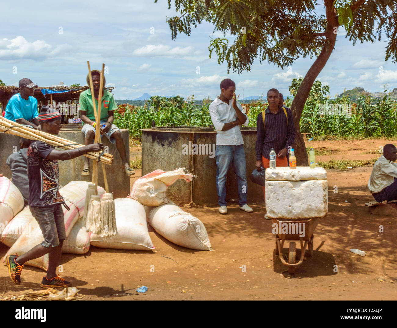 Malawische Männer stehen unter einem Baum Schutz vor dem rauen sun Verkauf kalte Getränke von einer Schubkarre und Kühler Stockfoto