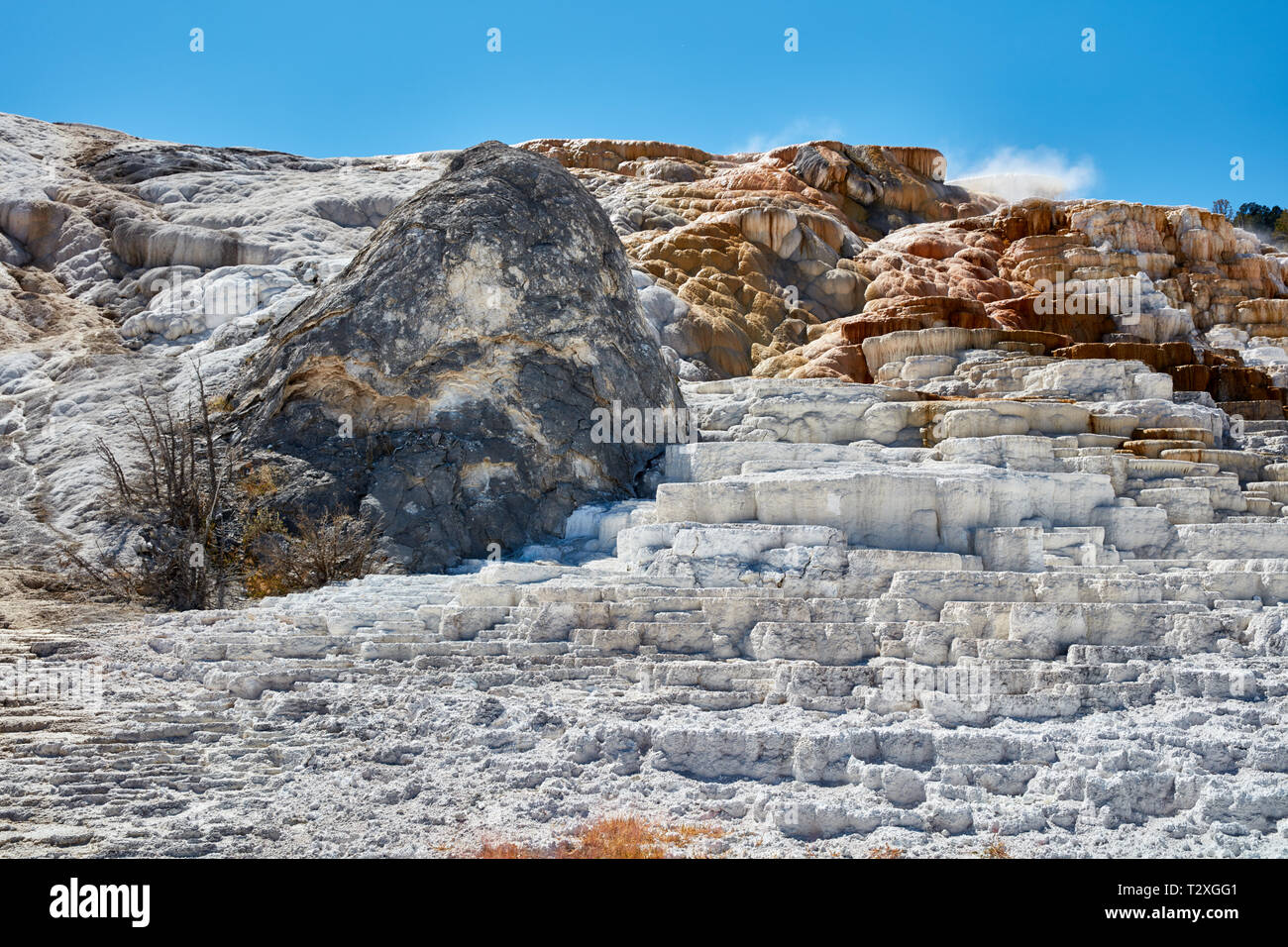 Terrassen von mineralischen Ablagerungen aufgebaut rund um eine alte hot spring Kegel in Mammoth Hot Springs, Yellowstone National Park Stockfoto