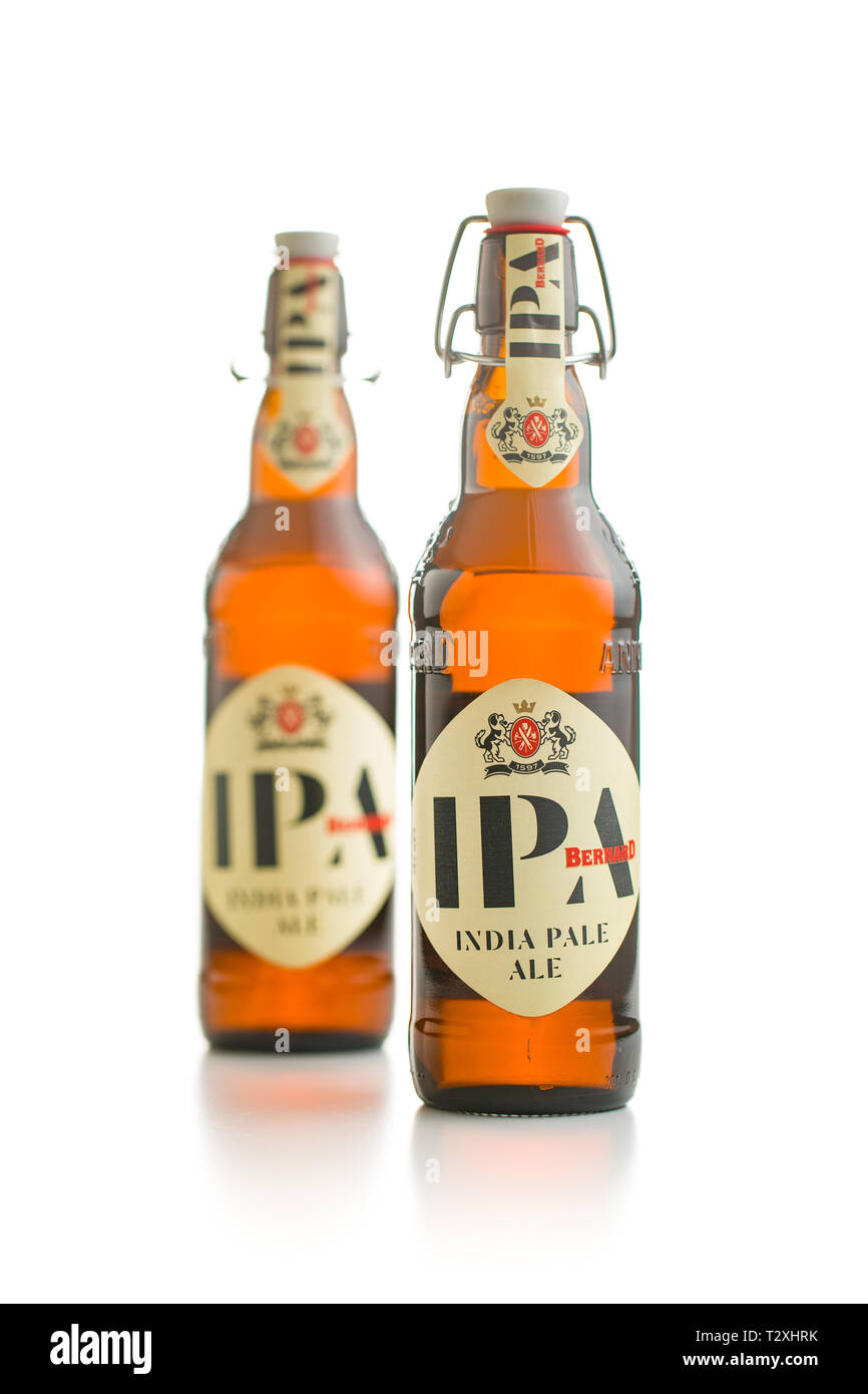 IPA india Pale Ale Bier. IPA Bier in der Tschechischen Brauerei Bernard gemacht. Stockfoto